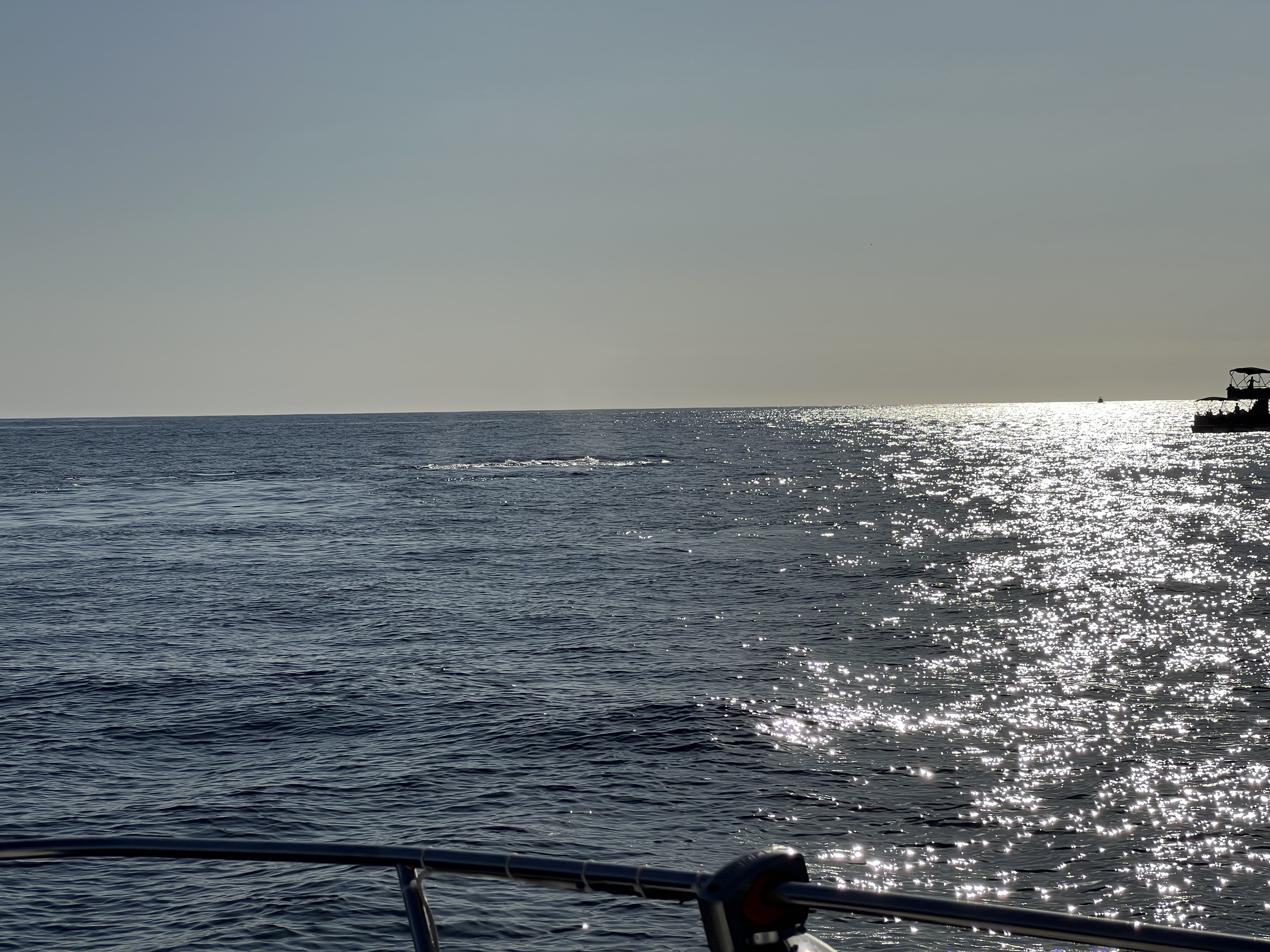 ./2024/13 - Cabo/IMG_4697.jpg